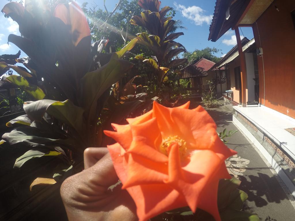 Dipa Home Stay Ubud Esterno foto