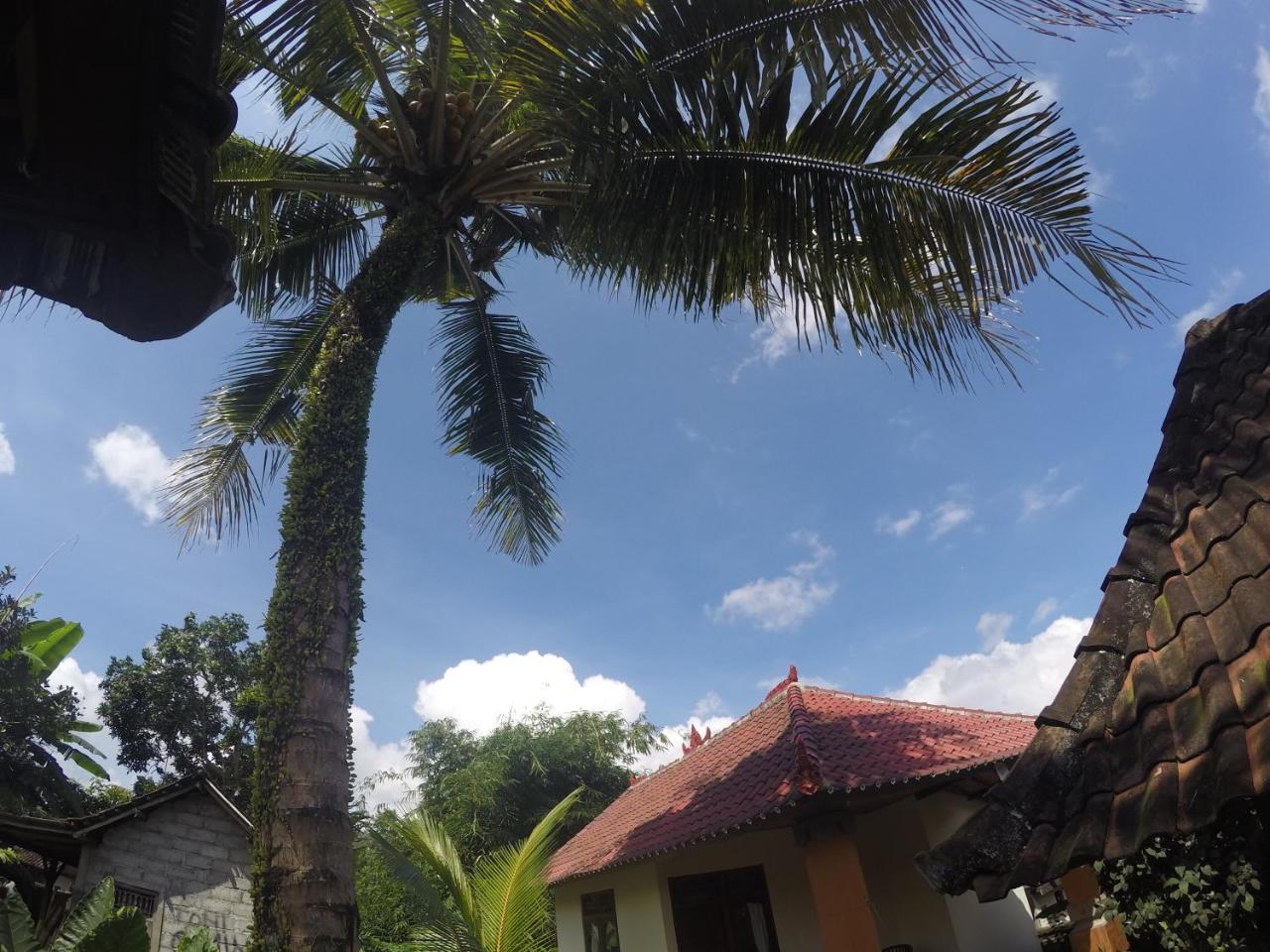 Dipa Home Stay Ubud Esterno foto