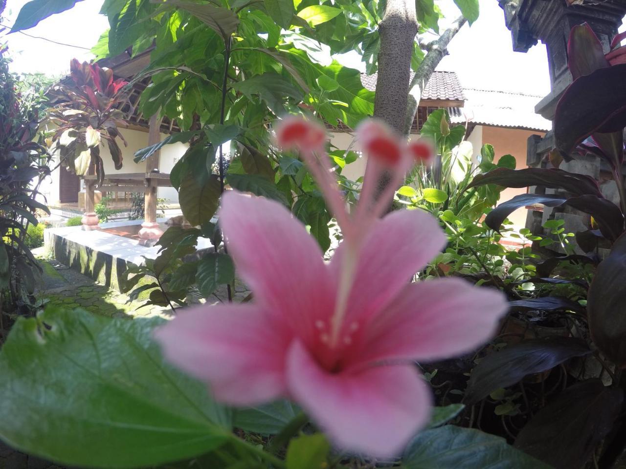 Dipa Home Stay Ubud Esterno foto